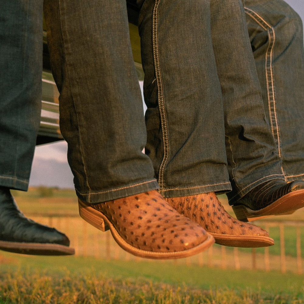 Photo of three pair of feet in cowboy boots sitting on a truck bed in a field of grass