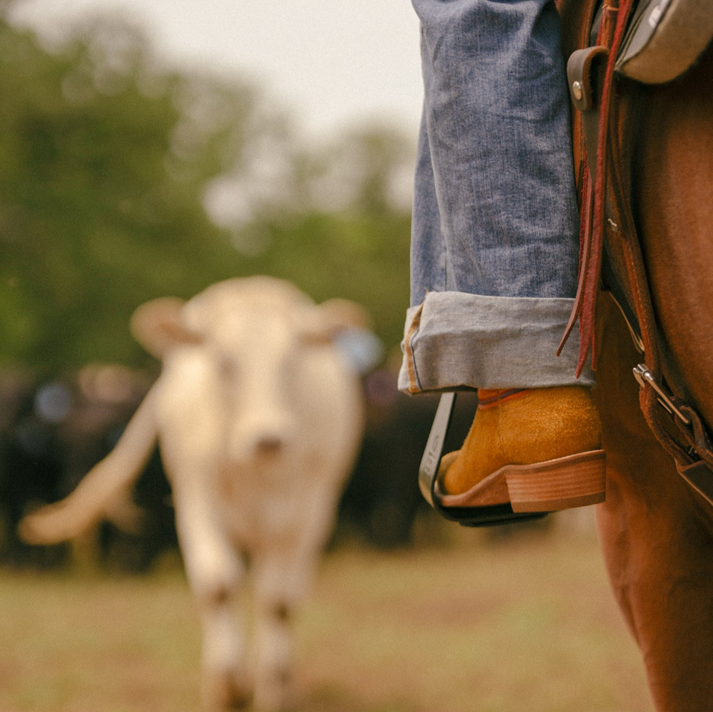 Lifestyle shot of woman's foot wearing cowgirl boots and leg wearing blue jeans in stirrup with blurred background of cows in field in the background